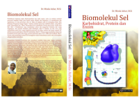Image of Biomolekul Sel : Karbohidrat, Protein, dan Enzim