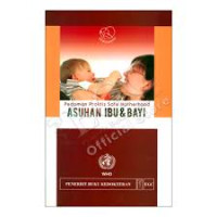Image of Pedoman Praktis Safe Motherhood: Asuhan Ibu dan Bayi